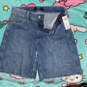 Hollister Women's Light-Mid Blue Denim Cutoff Shorts